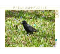 CALVENDO Puzzle Corbeau dans la Prairie Fleurie 1000 Pieces 64 x 48 cm from Kattobello