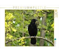 CALVENDO Puzzle Corbeau dans Un Arbre 1000 Pieces 64 x 48 cm from Kattobello