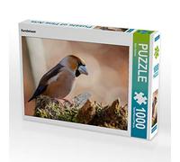 CALVENDO Puzzle Core Biter 1000 Pieces 64 x 48 cm from Björn Reibert