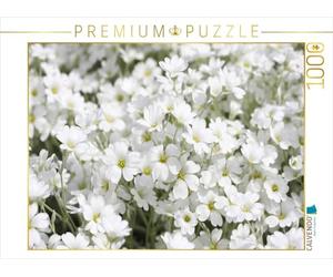 CALVENDO Puzzle Corne d'abondance 1000 Pieces 64 x 48 cm from Gisela Kruse