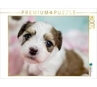 CALVENDO Puzzle Coucou 1000 Pieces 64 x 48 cm from Nicole Tauschnik