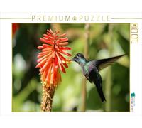 CALVENDO Puzzle Couronne Brilliantkolibri (Eugenes fulgens) | 1000 pièces - Dimensions : 64 x 48 cm - Puzzle Photo pour des Heures de Bonheur