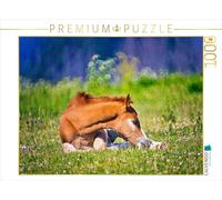 CALVENDO Puzzle Court Repos Couché | 1000 pièces Taille de la Pose 64 x 48 cm Puzzle Photo pour des Heures heureuses