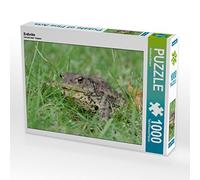 CALVENDO Puzzle Crapaud commun 1000 Pieces 64 x 48 cm from Reinhard Rickert