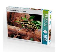 CALVENDO Puzzle Creepy-crawlies Scarabée des Roses (Mecynorrhina savagei) 1000 Pieces 64 x 48 cm from Benny Trapp