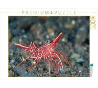 CALVENDO Puzzle Crevette dansante 1000 Pieces 64 x 48 cm from Sabine Smith