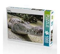 CALVENDO Puzzle Crocodile 1000 Pieces 64 x 48 cm from Elisabeth Stanzer