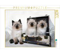 CALVENDO Puzzle Crusaders Ragdoll Katzen 1000 Teile Puzzle quer 1000 Pieces 64 x 48 cm from Jennifer Chrystal