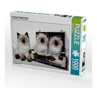 CALVENDO Puzzle Crusaders Ragdoll Katzen 1000 Teile Puzzle quer 1000 Pieces 64 x 48 cm from Jennifer Chrystal