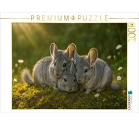 Puzzle · Heure des câlins - Trois Chinchillas | 1000 pièces · Format assemblé 64 × 48 cm · CALVENDO Puzzle