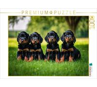 CALVENDO Puzzle Cuddly Gordon Setter puppies | 1000 pieces, finished size 25.2 ×