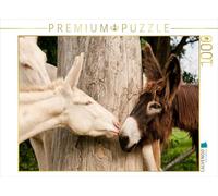 CALVENDO Puzzle Cul du Poitou et Cul Blanc 1000 Pieces 64 x 48 cm from Meike Bölts
