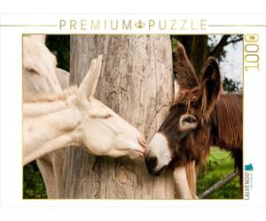 CALVENDO Puzzle Cul du Poitou et Cul Blanc 1000 Pieces 64 x 48 cm from Meike Bölts
