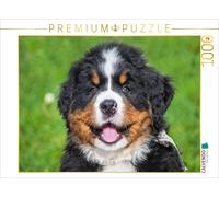 CALVENDO Puzzle Curious little rascal | 1000 pieces, finished size 25.2 × 18.9 i