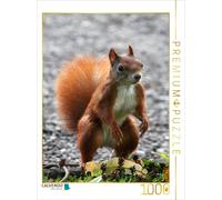 CALVENDO Puzzle Neugieriges Eichhörnchen 1000 Teile Puzzle Hoch 1000 Pieces 48 x 64 cm from SchnelleWelten