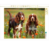 CALVENDO Puzzle Cute American Cocker Spaniel | 1000 pieces, finished size 25.2 ×