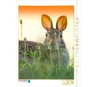 CALVENDO Puzzle Cute bunnies | 1000 pieces, finished size 25.2 × 18.9 in (64 × 4