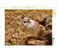 CALVENDO Puzzle Cute gerbil | 1000 pieces, finished size 25.2 × 18.9 in (64 × 48