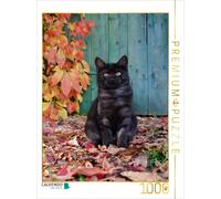 CALVENDO Puzzle Cute kitten with red vine leaves | 1000 pieces, finished size 25