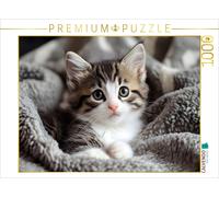 CALVENDO Puzzle Cute little baby cat | 1000 pieces, finished size 25.2 × 18.9 in