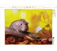 CALVENDO Puzzle Cute little rodent. | 1000 pieces, finished size 25.2 × 18.9 in