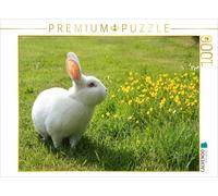 CALVENDO Puzzle Cute Rabbits | 1000 pieces, finished size 25.2 × 18.9 in (64 × 4