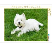 CALVENDO Puzzle Cute West Highland White Terrier lying in the grass | 1000 piece