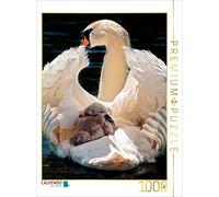 CALVENDO Puzzle Cygne, Amour de la mère | 1000 pièces - Dimensions : 48 x 64 cm - Puzzle Photo pour des Heures de Bonheur