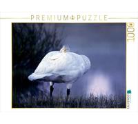 CALVENDO Puzzle Cygne Sauvage. Finlande 1000 Pieces 64 x 48 cm from Philippe Henry