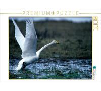 CALVENDO Puzzle Cygne Sauvage. Finlande 1000 Pieces 64 x 48 cm from Philippe Henry