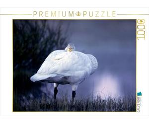 CALVENDO Puzzle Cygne Sauvage. Finlande 1000 Pieces 64 x 48 cm from Philippe Henry
