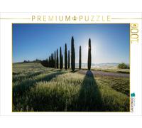 CALVENDO Puzzle Cypress Avenue | 1000 pieces, finished size 25.2 × 18.9 in (64 ×