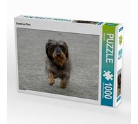 CALVENDO Puzzle Dackel on Tour 1000 Teile Puzzle quer 1000 Pieces 64 x 48 cm from Kattobello