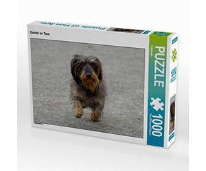 CALVENDO Puzzle Dackel on Tour 1000 Teile Puzzle quer 1000 Pieces 64 x 48 cm from Kattobello