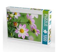 CALVENDO Puzzle Dahlias 1000 Pieces 48 x 64 cm from Gisela Kruse