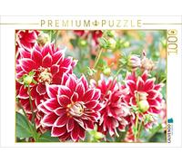 CALVENDO Puzzle Dahlias Rouges et Blancs 1000 Pieces 64 x 48 cm from Gisela Kruse