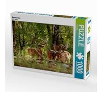 CALVENDO Puzzle Daim 1000 Pieces 64 x 48 cm from Arno Klatt