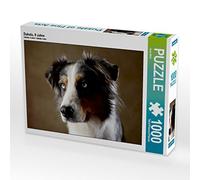 CALVENDO Puzzle Dakota 9 Ans 1000 pièces Taille de la Pose 64 x 48 cm Photo Puzzle Image de Jana Behr