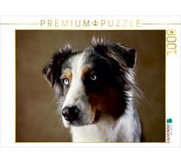 CALVENDO Puzzle Dakota, 9 Jahre 1000 Teile Puzzle quer | 1000 Teile Lege-Größe 6