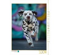 CALVENDO Puzzle Dalmatien 1000 Pieces 48 x 64 cm from DoraZett