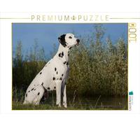CALVENDO Puzzle Dalmatien au Bord de l'eau 1000 Pieces 64 x 48 cm from Sista-Tierfoto