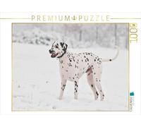 CALVENDO Puzzle Dalmatien dans la Neige 1000 Pieces 64 x 48 cm from Sista-Tierfoto