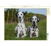 CALVENDO Puzzle Dalmatiens dans Les vignobles 1000 Pieces 64 x 48 cm from Sista-Tierfoto