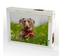 CALVENDO Puzzle dans la Prairie du Printemps 1000 Pieces 64 x 48 cm from Annett Mirsberger
