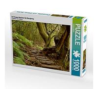 CALVENDO Puzzle dans Le Parque Nacional de Garajonay 1000 Pieces 64 x 48 cm from Christine Witzel
