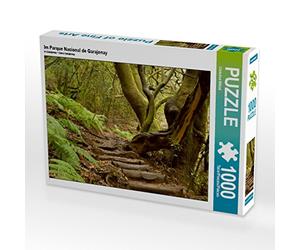 CALVENDO Puzzle dans Le Parque Nacional de Garajonay 1000 Pieces 64 x 48 cm from Christine Witzel