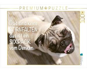 CALVENDO Puzzle « Das Sind Keine Front-Falten » - C'est Un Lot de Six Puzzles de la pensée. Puzzle Photo de 1000 pièces de 64 x 48 cm pour des Heures de Bonheur