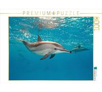 CALVENDO Puzzle Dauphin 1000 Pieces 64 x 48 cm from Sven Gruse