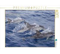 CALVENDO Puzzle Dauphins au Large des côtes de Madère 1000 Pieces 64 x 48 cm from dotmatchbox