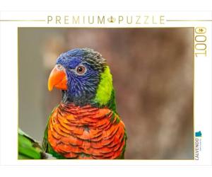 CALVENDO Puzzle De Beaux perroquets - Lori 1000 Pieces 64 x 48 cm from Peter Roder